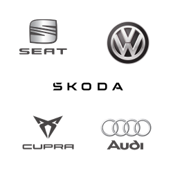 Grupo VAG